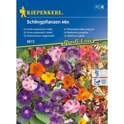 Kiepenkerl Mieszanka roślin pnących Schlingpflanzen Mix
