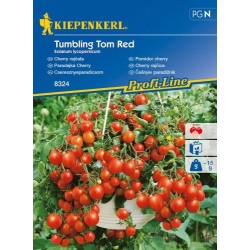 Kiepenkerl Pomidor cherry Tumbling Tom Red Kiepenkerl