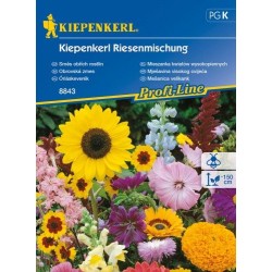 Kiepenkerl Mieszanka kwiatów wysokopiennych Kiepenkerl