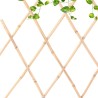 ProGarden Kratka ogrodowa do roślin pnączy bambusowa rozkładana 180x90 cm