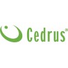 Cedrus CEDRUS SW02 WIERTNICA GLEBOWA SPALINOWA ŚWIDER GLEBOWY DO ZIEMI 4.5KM - OFICJALNY DYSTRYBUTOR - AUTORYZOWANY DEALER CEDRU